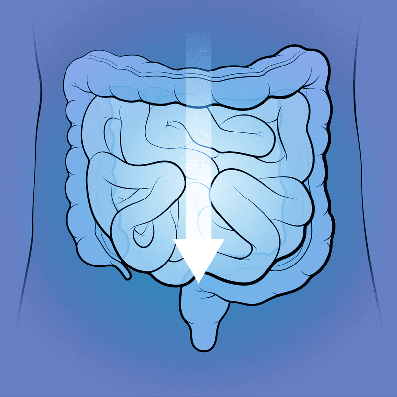 Diarrhea (HIV Symptom Guide)
