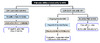 These recommendations are based on the CD4 cell count and risk of acquiring hepatitis A virus