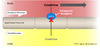 Bictegravir and dolutegravir can inhibit OCT2, which blocks the secretion of creatinine from the basolateral membrane of the peritubular capillary blood cell into the renal tubular cell. As a result, more serum creatinine remains in the blood and serum creatinine increases.