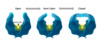 This figure shows the HIV protease enzyme in three configurations: open, semi-closed, and closed.