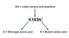 The HIV genotype provides information based on the inferred amino acid substitutions predicted by the HIV DNA sequence and these substitutions are compared with wild-type HIV amino acid sequences. The genotype resistance report lists the wild-type amino acid, followed by the position of this amino acid, followed by the amino acid that has replaced the wild-type amino acid at the position listed.