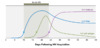 Patients with recent HIV acquisition who present with an acute symptomatic illness (acute HIV) typically have a high HIV RNA level (as shown by the blue line), detectable p24 antigen (green line), and non-detectable anti-HIV antibodies (as shown by the purple line). The scenario of a high HIV RNA level combined with a negative HIV antibody test strongly suggests acute HIV.