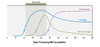 The colored circles indicate the typical time for first detection of a positive test after acquisition of HIV.&nbsp;