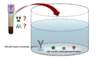 The HIV-1/2 antigen-antibody immunoassay contains components that will detect HIV-1 p24 antigen, antibodies to HIV-1, and antibodies to HIV-2. The HIV-1 and HIV-2 recombinant proteins vary from assay to assay.