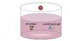 The HIV-1/2 antigen-antibody immunoassay will turn positive with the presence of one or more of the following: HIV-1 p24 antigen, antibodies to HIV-1, or antibodies to HIV-2. With most of the laboratory-based assays, the positive reaction is nonspecific and thus does not differentiate HIV-1 p24 antigen, antibodies to HIV-1, or antibodies to HIV-2. In addition, most of the assays will not determine whether more than one of these components are present in a positive reaction.