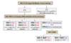 Abbreviations: CDC/APHL = Centers for Disease Control and the Association of Public Health Laboratories
