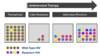 This graphic illustrates the basic concept that with suboptimal antiretroviral therapy, as may occur with poor adherence, drug-resistant strains of HIV have a selective advantage and can emerge to become the dominant circulating strains of HIV.