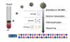 The HIV is first isolated from the plasma sample, then reverse transcribed in the laboratory to form HIV DNA. The HIV DNA sample is amplified using PCR techniques and then sequenced. Conventional HIV genotype assays routinely sequence DNA for the reverse transcriptase and protease genes. Assays are also available that can sequence the HIV integrase and envelope genes.