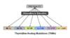 The thymidine analog mutations arise in the setting of inadequate virologic suppression with an antiretroviral therapy regimen that contains either zidovudine or stavudine.