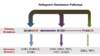 Drug resistance to raltegravir occurs most often in one of three pathways: Q148, N155, and Y143. As shown by the relative sizes of the arrows, the Q148 pathway is the most common pathway and it has the greatest impact on raltegravir-associated resistance. The N155 pathway is the next most common pathway, but because this mutation does not impact raltegravir nearly as much as the Q148, there is frequent crossover from the N155 pathway to the Q148 pathway.