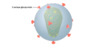 Each HIV has approximately 14 irregularly spaced envelope glycoprotein spikes on the surface of HIV.
